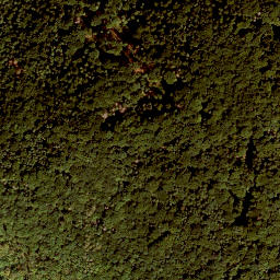 Satellite imagery of Houbirg, DE