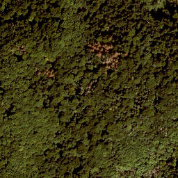 Satellite imagery of Houbirg, DE