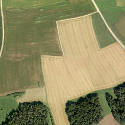 Satellite imagery of Eckenbühl, DE