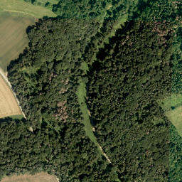 Satellite imagery of Eckenbühl, DE