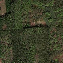 Satellite imagery of Jezvinec [Rakovice], CZ