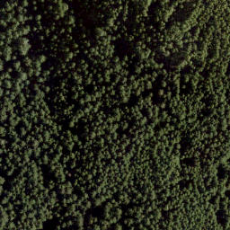 Satellite imagery of Mount Killam, CA