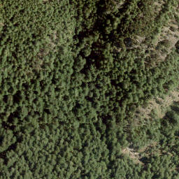 Satellite imagery of Mount Killam, CA