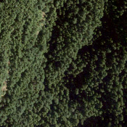 Satellite imagery of Mount Killam, CA