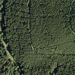 Satellite imagery of Leuchtenberg, DE