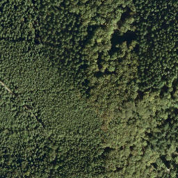 Satellite imagery of Leuchtenberg, DE