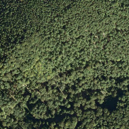 Satellite imagery of Leuchtenberg, DE