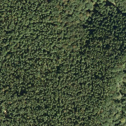Satellite imagery of Peterskopf, DE