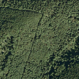 Satellite imagery of Peterskopf, DE
