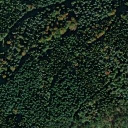 Satellite imagery of Bergwald, DE