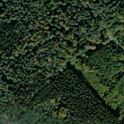 Satellite imagery of Bergwald, DE