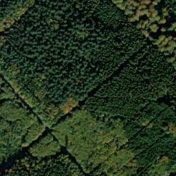 Satellite imagery of Bergwald, DE