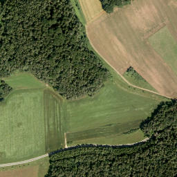 Satellite imagery of Eckenbühl, DE