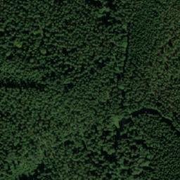 Satellite imagery of (Skelčané) [Staré Hamry 1], CZ