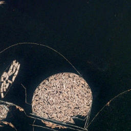 Satellite imagery of Witherby Point, CA