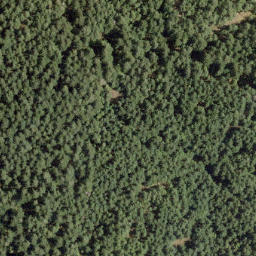 Satellite imagery of Mount Killam, CA