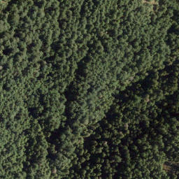 Satellite imagery of Mount Killam, CA