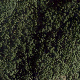 Satellite imagery of Mount Killam, CA