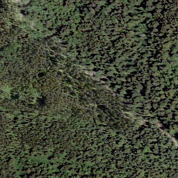 Satellite imagery of Ginger Hill, CA