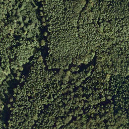 Satellite imagery of Leuchtenberg, DE