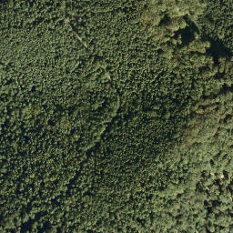 Satellite imagery of Leuchtenberg, DE