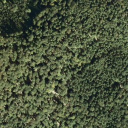Satellite imagery of Leuchtenberg, DE