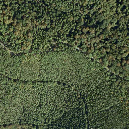 Satellite imagery of Heidenfels, DE