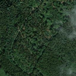 Satellite imagery of Bergwald, DE