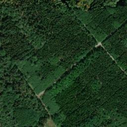 Satellite imagery of Bergwald, DE