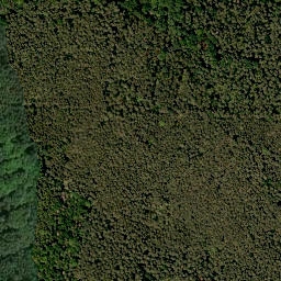 Satellite imagery of Kugelbuck, DE