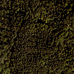 Satellite imagery of Reschenberg, DE