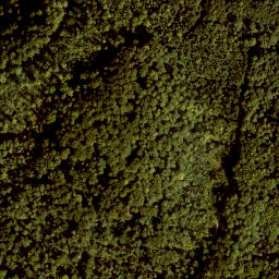 Satellite imagery of Reschenberg, DE