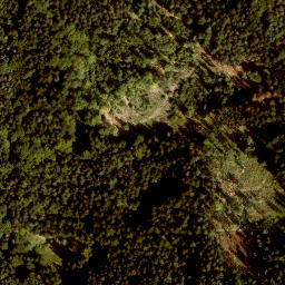 Satellite imagery of Reschenberg, DE