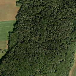 Satellite imagery of Eckenbühl, DE