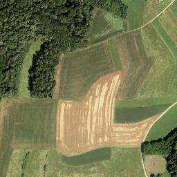 Satellite imagery of Eckenbühl, DE