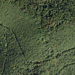 Satellite imagery of Heidenfels, DE