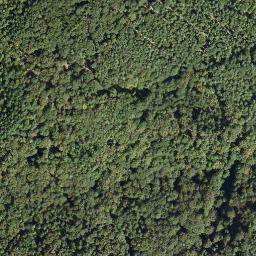 Satellite imagery of Peterskopf, DE