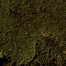 Satellite imagery of Leutenberg, DE