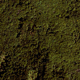 Satellite imagery of Leutenberg, DE