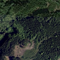 Satellite imagery of Záseky [Rybník-Švarcava], CZ