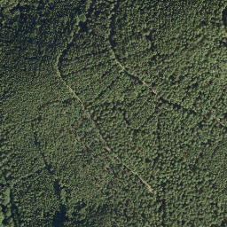 Satellite imagery of Heidenfels, DE