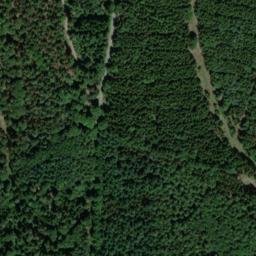 Satellite imagery of Markgrafenwald, DE