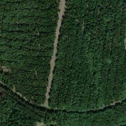 Satellite imagery of Markgrafenwald, DE