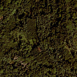 Satellite imagery of Leutenberg, DE