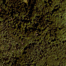 Satellite imagery of Leutenberg, DE