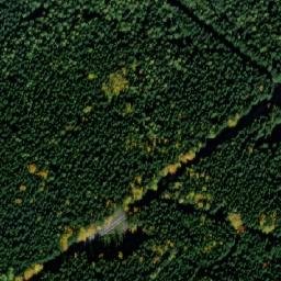Satellite imagery of (obora Oborský dvůr), CZ
