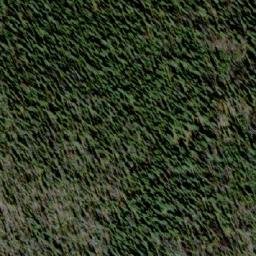 Satellite imagery of Evening Ridge, CA