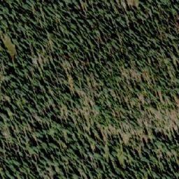 Satellite imagery of Mount Beattie, CA