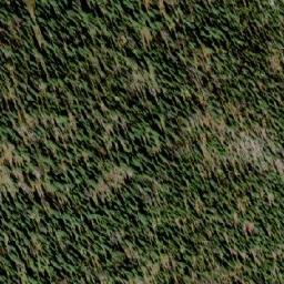 Satellite imagery of Mount Beattie, CA