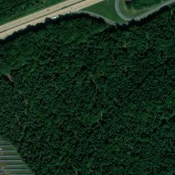 Satellite imagery of Tiergarten, DE